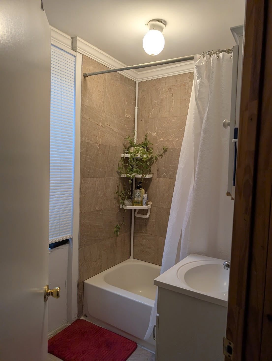 Room in shared apartment near UPenn & Drexel University