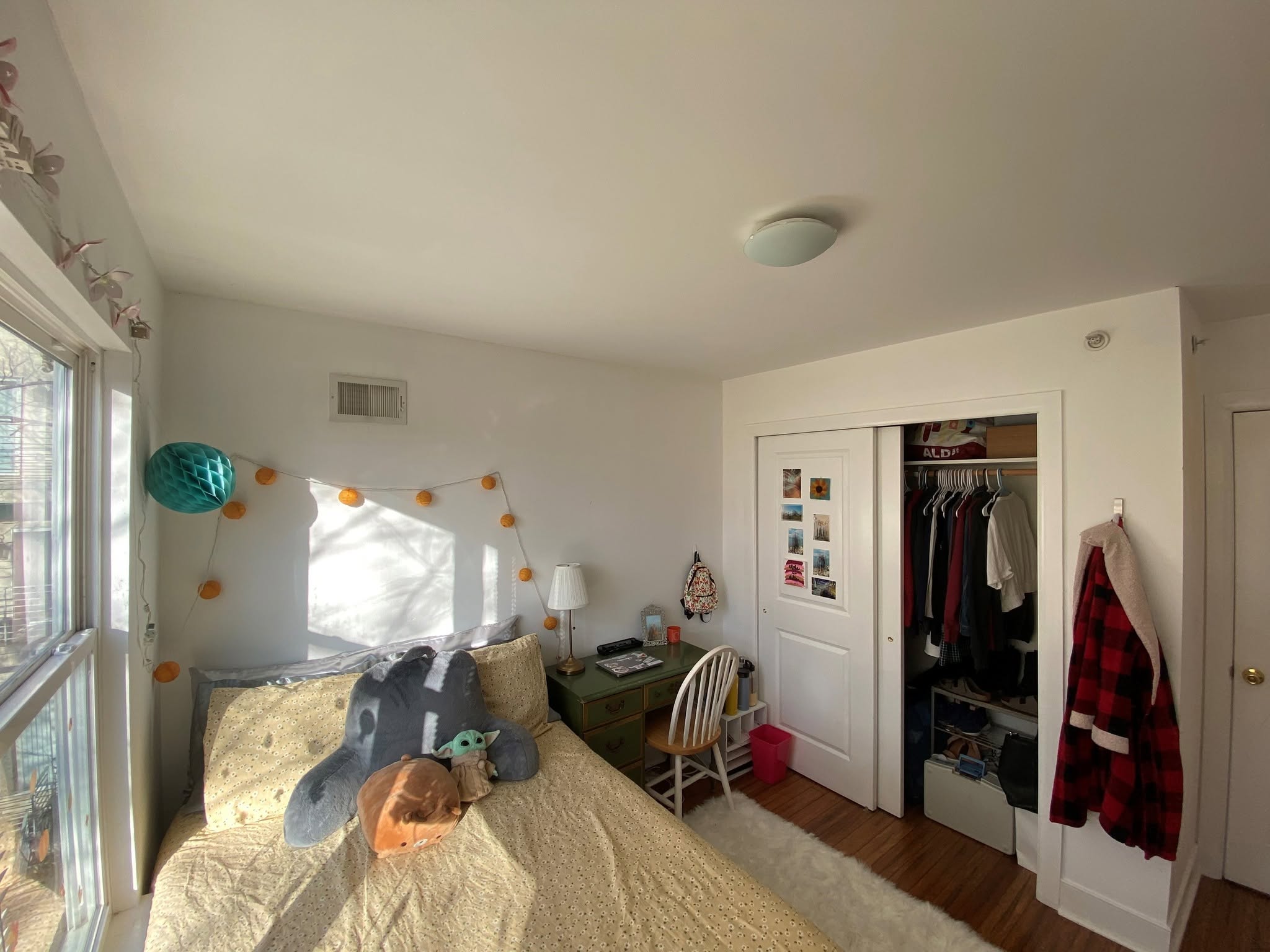 Room in shared apartment near Temple University