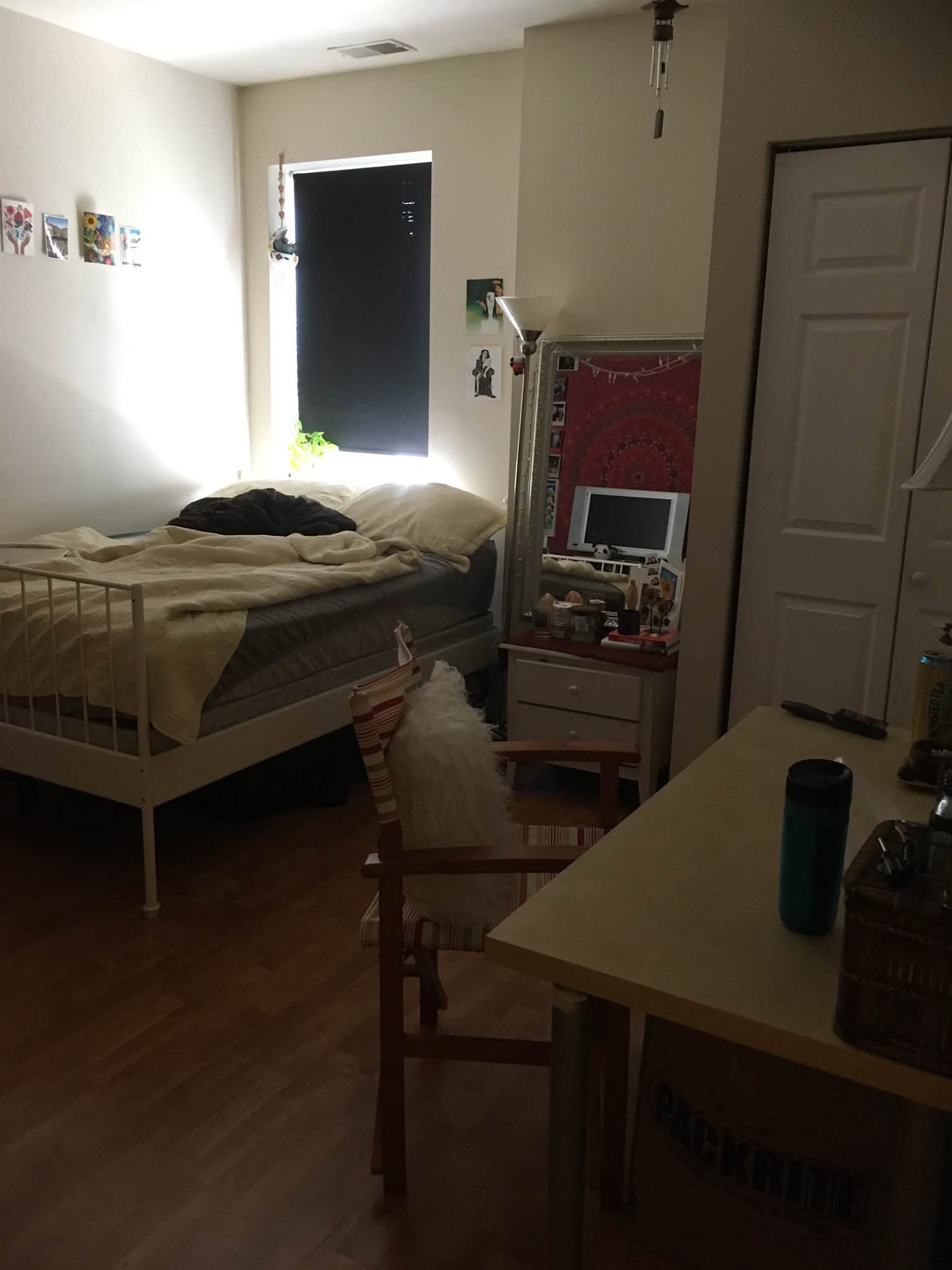 Room in shared apartment near Temple University