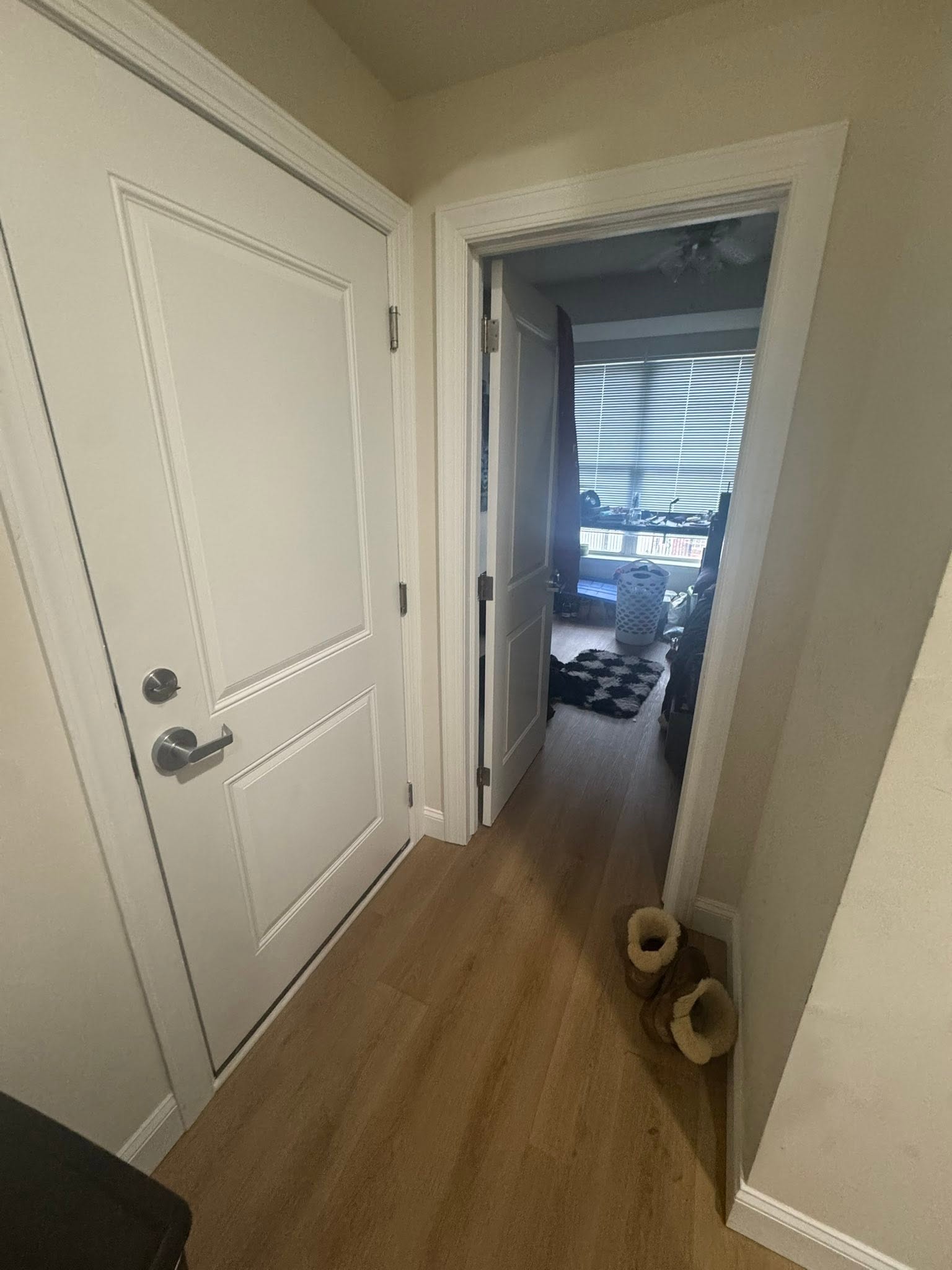 Room in shared apartment near Temple University