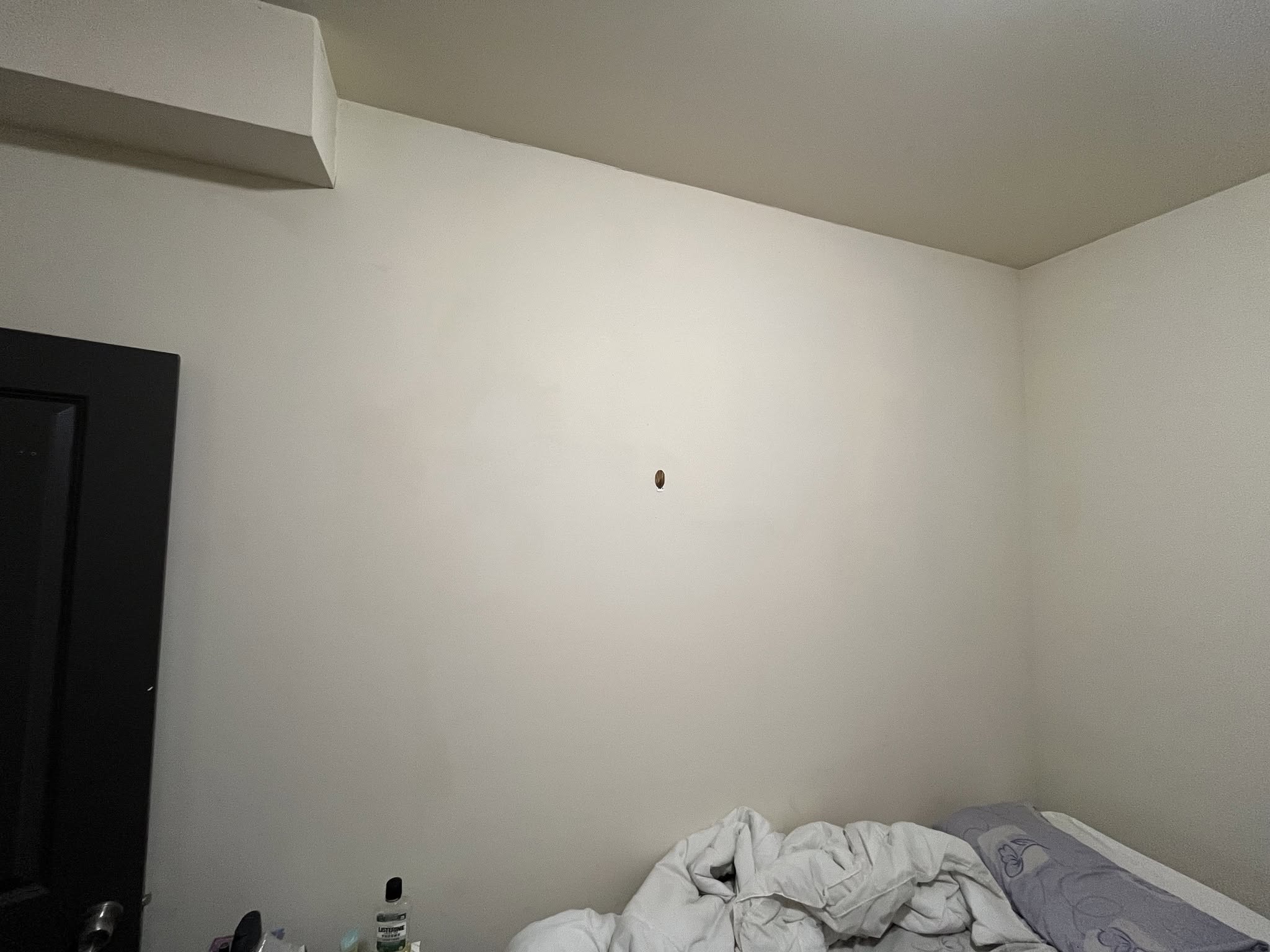 Lease takeover near Temple University